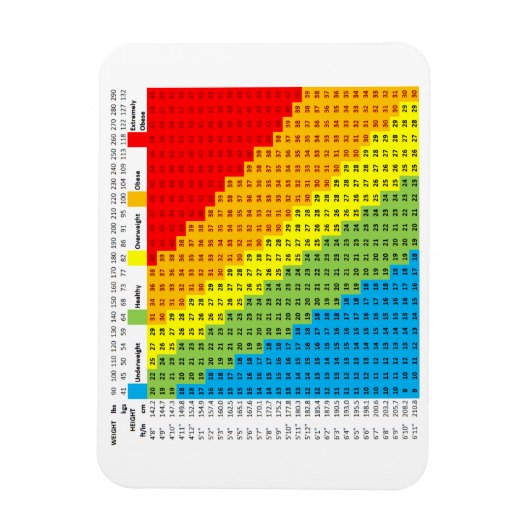 BMI Chart Magnet (Vertikal)