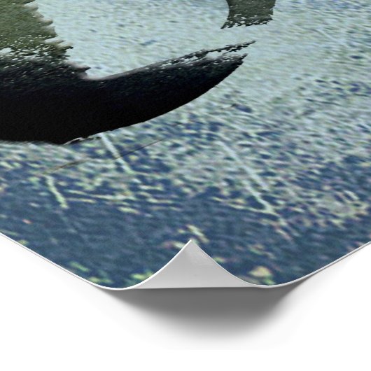 BMX 9, Copyright Karen J Williams Poster (Ecke)