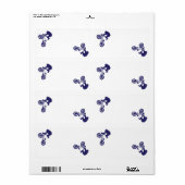 BMX Bike Rider (Vorne)