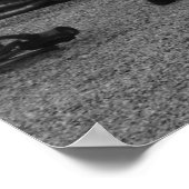 bmx poster b&w (Ecke)