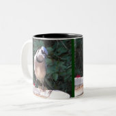 BN Spottdrossel und blaue Jay-Tasse Zweifarbige Tasse (Vorderseite Links)