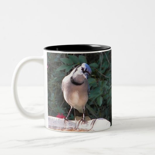 BN Spottdrossel und blaue Jay-Tasse Zweifarbige Tasse (Links)