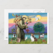 Bndr-StFrancis-Sheltie-Leah-nocat Postkarte (Vorne/Hinten)