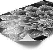BnW Fraktal Dahlia Blume über Electron Microscope Fotodruck (Ecke)