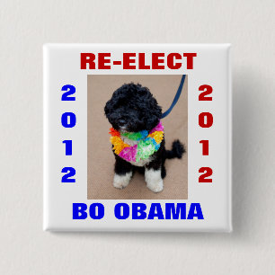 BO OBAMA 2012 BUTTON