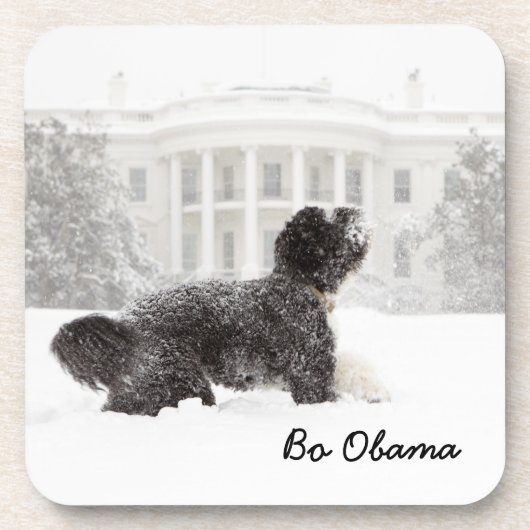 Bo Obama Getränkeuntersetzer (Vorderseite)