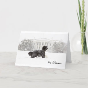 Bo Obama im Schnee Karte