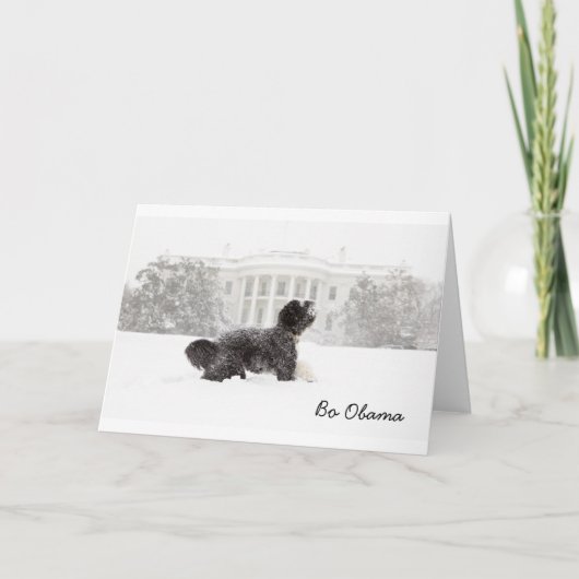 Bo Obama im Schnee Karte (Vorderseite)