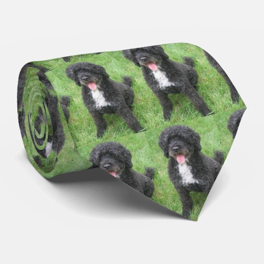 Bo Obama Krawatte (Gerollt)