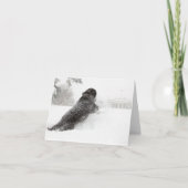 Bo Obama Note Card - South Grounds Karte (Vorderseite)