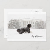 Bo Obama Postkarte (Vorne/Hinten)