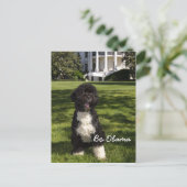 Bo Obama Postkarte (Stehend Vorderseite)