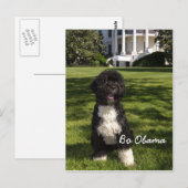 Bo Obama Postkarte (Vorne/Hinten)