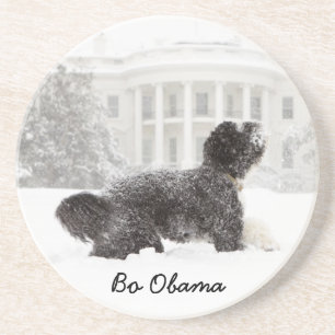 Bo Obama Untersetzer