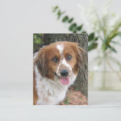 Bo Postkarte (Stehend Vorderseite)