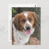 Bo Postkarte (Vorne/Hinten)