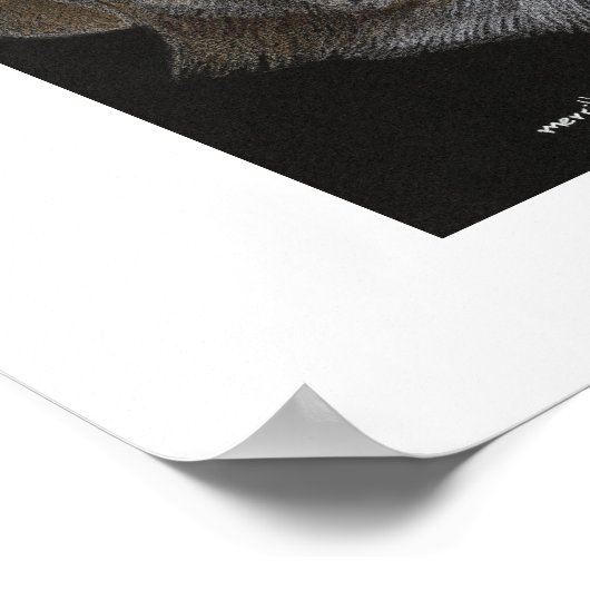 Bo & Sissy Poster (Ecke)