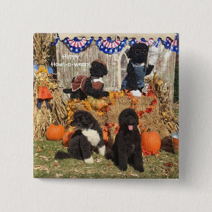 Bo und Sunny Halloween - Button