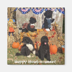 Bo und Sunny Halloween - Magnet