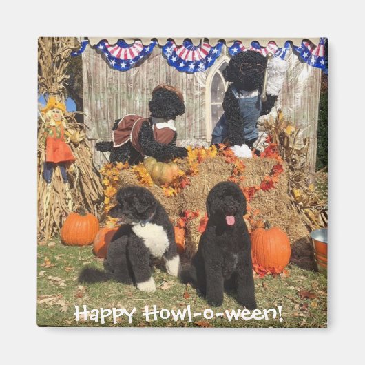 Bo und Sunny Halloween - Magnet (Vorne)