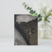Boa Constrictor # 1 Postkarte (Stehend Vorderseite)