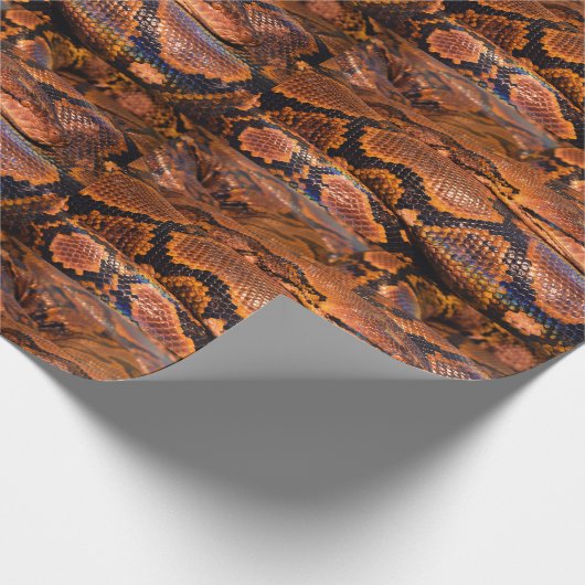 Boa constrictor geschenkpapier (Ecke)