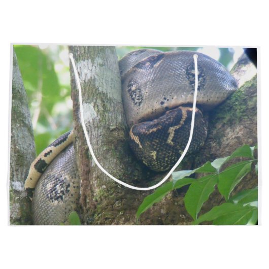 Boa Constrictor Geschenktasche Große Geschenktüte (Rückseite)