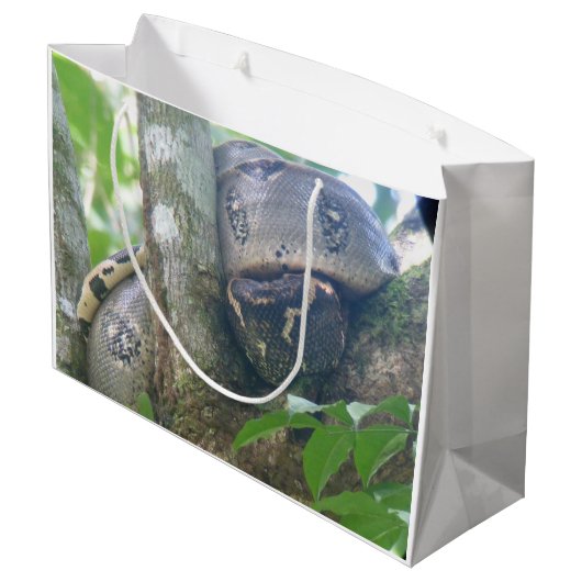 Boa Constrictor Geschenktasche Große Geschenktüte (Rückseite Schrägansicht)