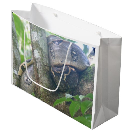 Boa Constrictor Geschenktasche Große Geschenktüte (Vorderseite Schrägansicht)