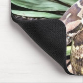 Boa constrictor mousepad (Ecke)