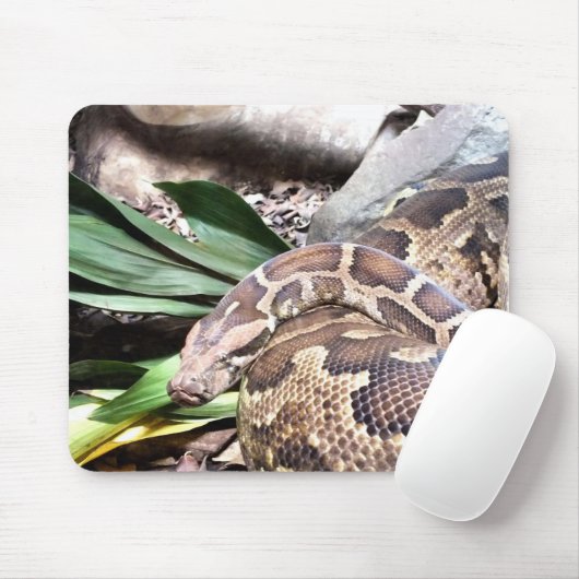 Boa constrictor mousepad (Mit Mouse)