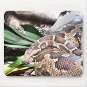 Boa constrictor mousepad (Vorne)