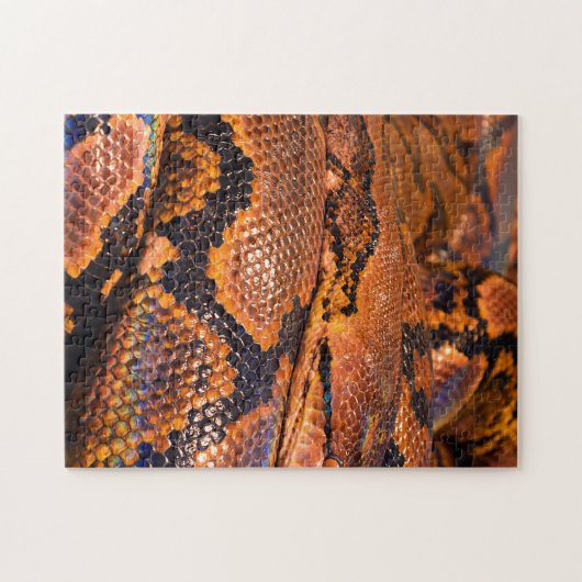 Boa constrictor puzzle (Horizontal)