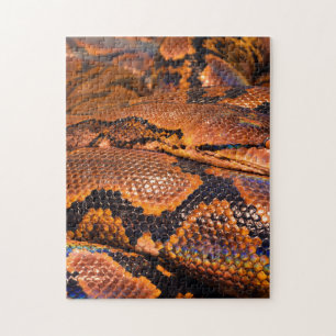 Boa constrictor puzzle