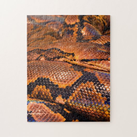 Boa constrictor puzzle (Vertikal)