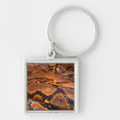 Boa constrictor schlüsselanhänger (Vorne)