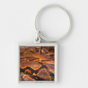 Boa constrictor schlüsselanhänger