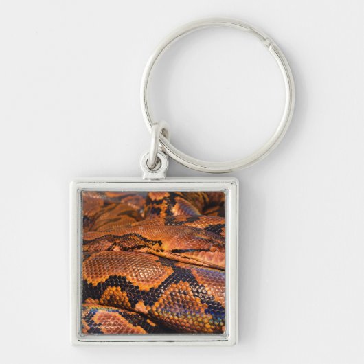 Boa constrictor schlüsselanhänger (Vorne)