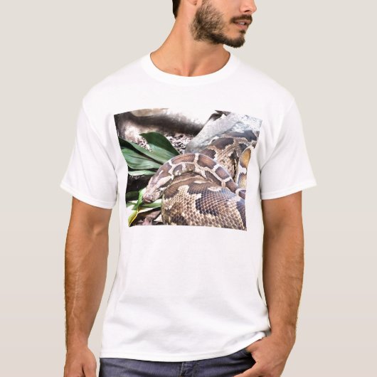 Boa constrictor T-Shirt (Vorderseite)