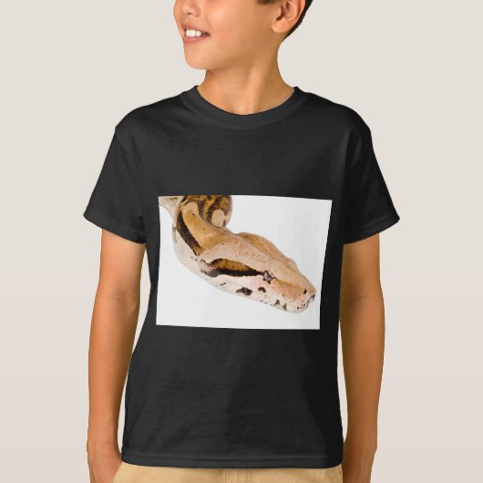 Boa constrictor T-Shirt (Vorderseite)