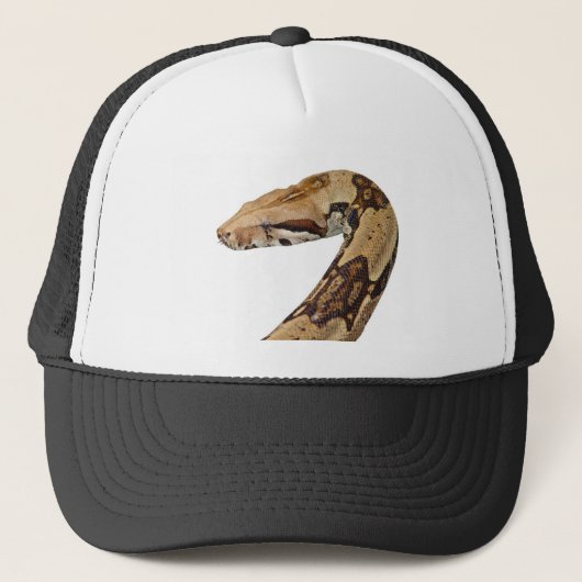 Boa constrictor truckerkappe (Vorderseite)