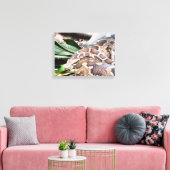 Boa Constriktion Reptil Leinwanddruck (Insitu (Wohnzimmer))