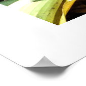 Boa Constriktor Poster (Ecke)