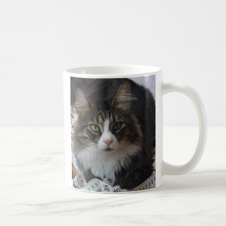 Boa-Katze Kaffeetasse