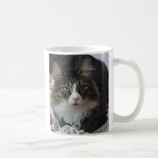 Boa-Katze Kaffeetasse (Rechts)