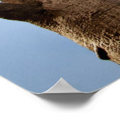 BOAB TREE POSTER (Ecke)