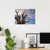 BOAB TREE POSTER (Heimbüro)