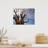 BOAB TREE POSTER (Küche)
