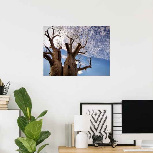 BOAB TREE POSTER (Heimbüro)
