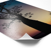 Boab Tree Silhouette bei Sunset Foto Print (Ecke)